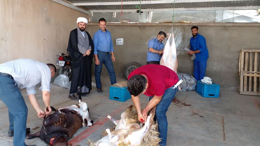 بگذر از فرزند و جان و مال خویش تا خلیل اللّه دورانت کنند